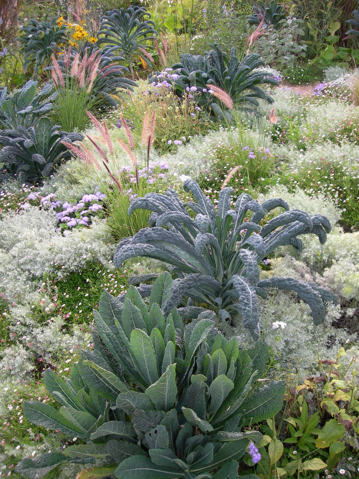 [DSCN3545.JPG]