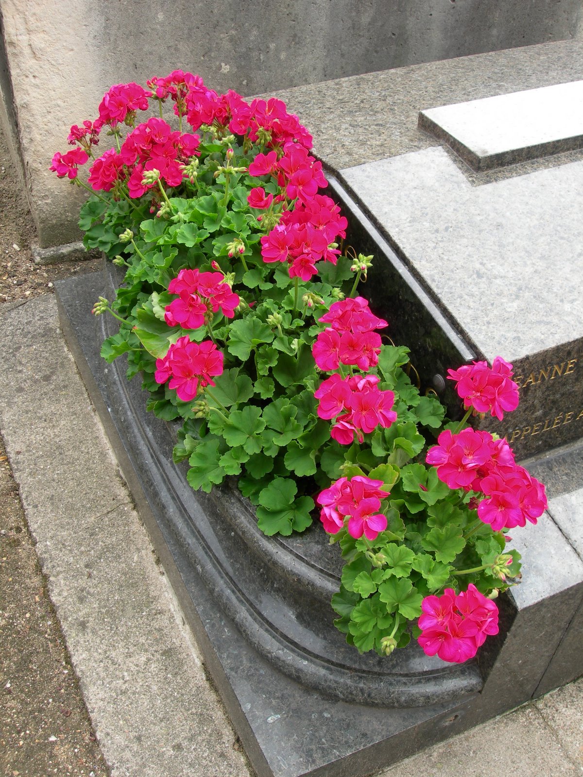 [DSCN8265.JPG]