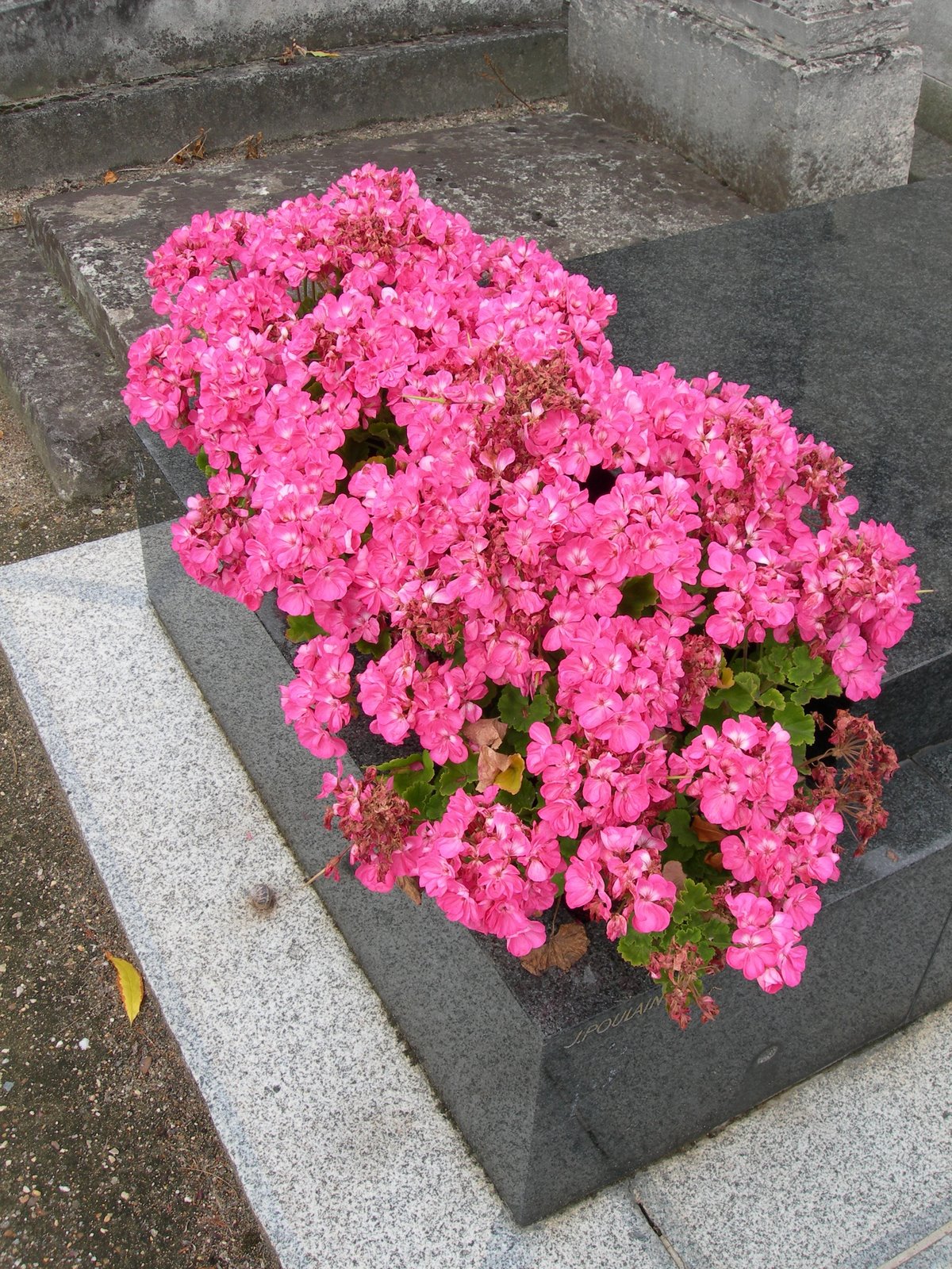 [DSCN8268.JPG]