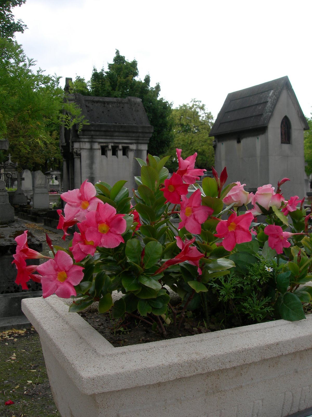 [DSCN8295.JPG]