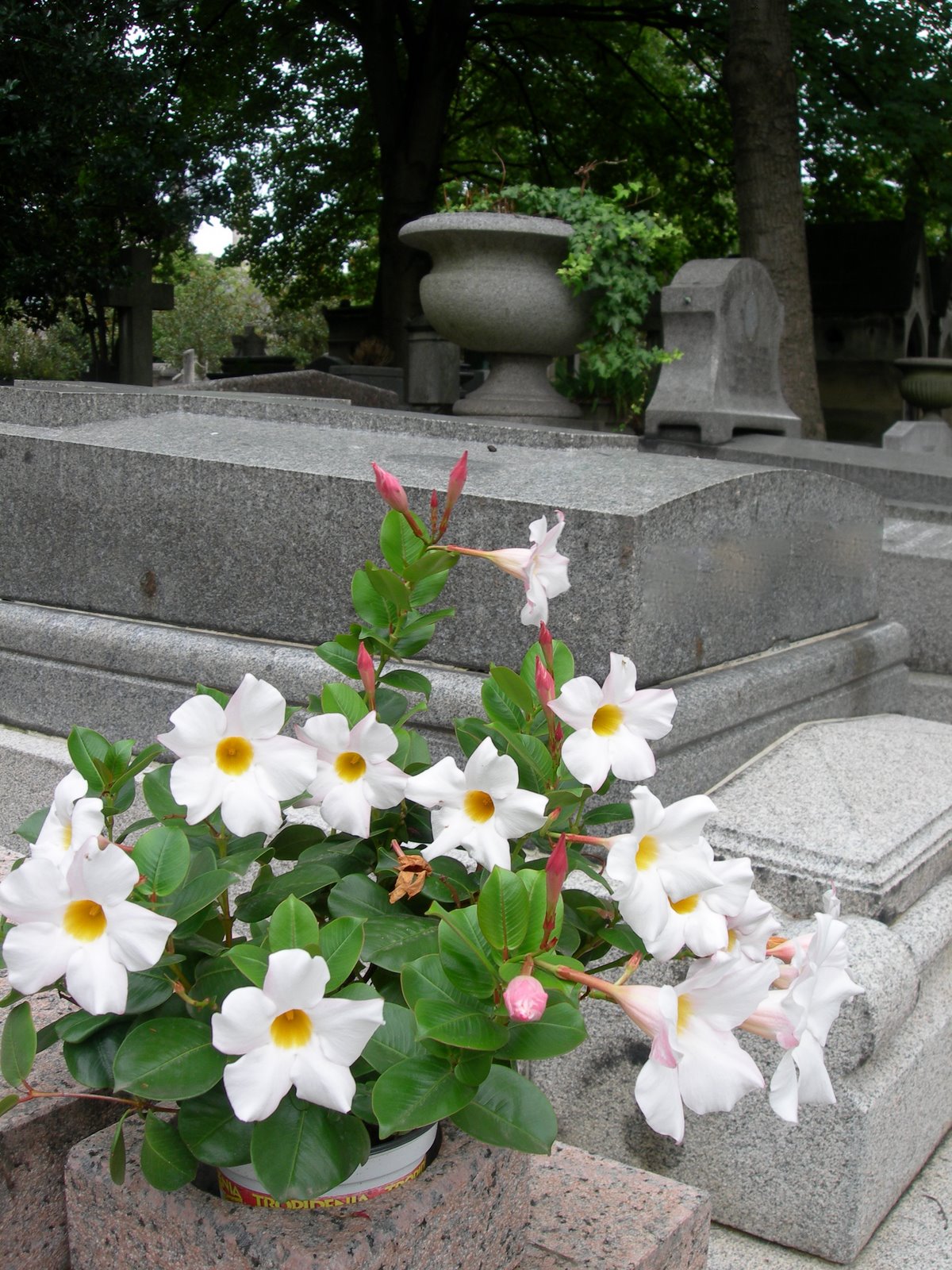 [DSCN8256.JPG]