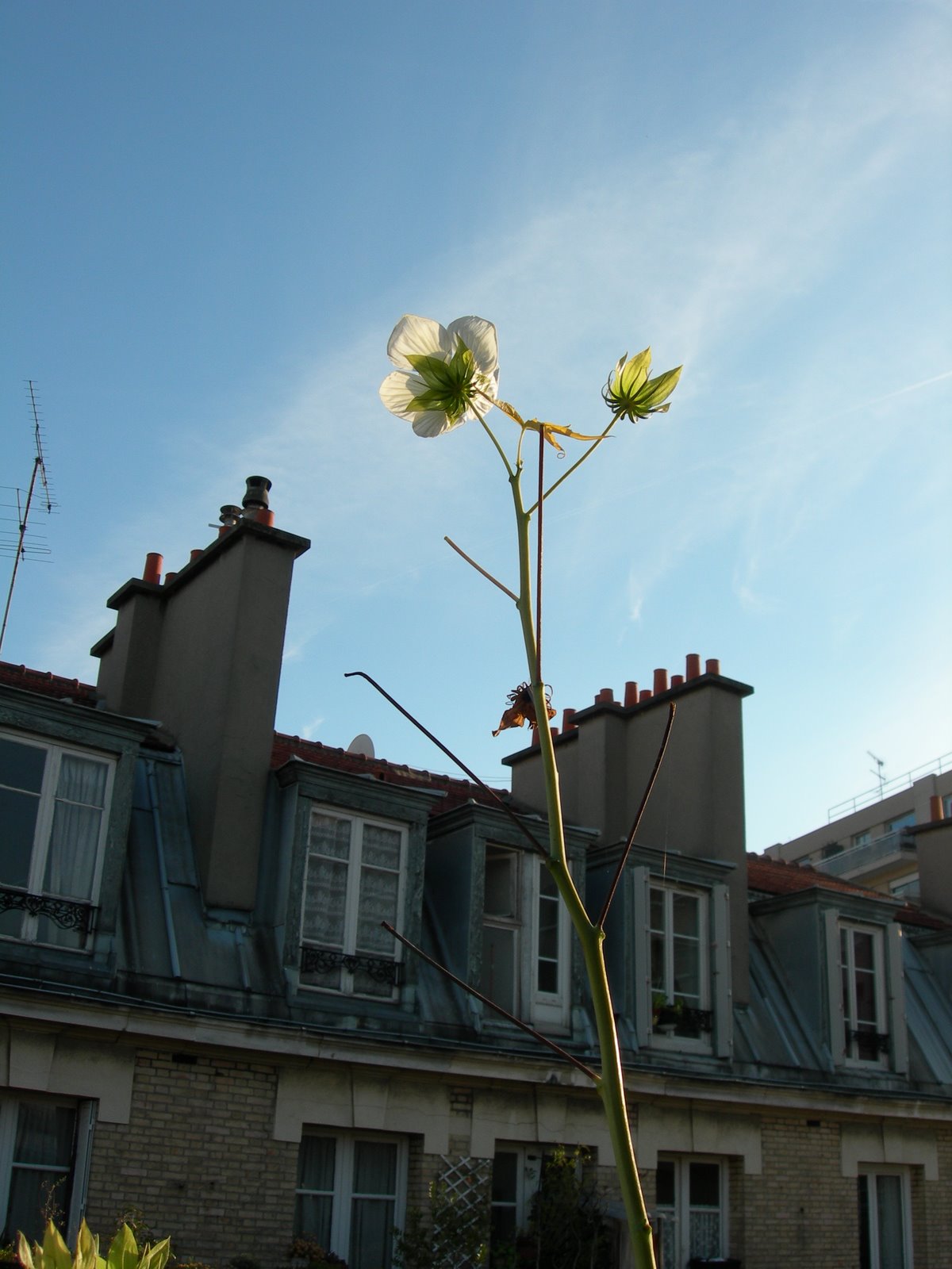 [DSCN9380.JPG]