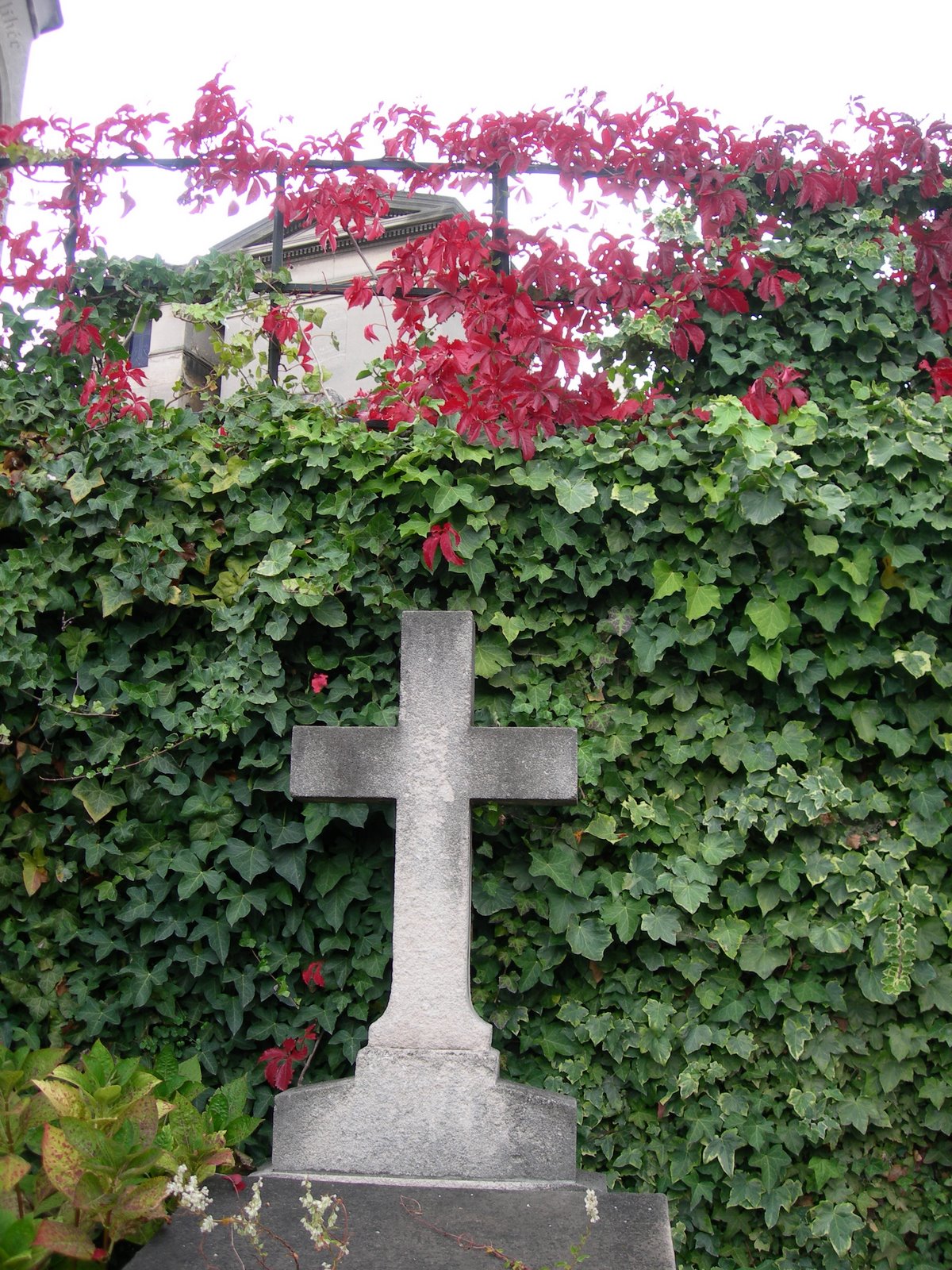 [DSCN8919.JPG]