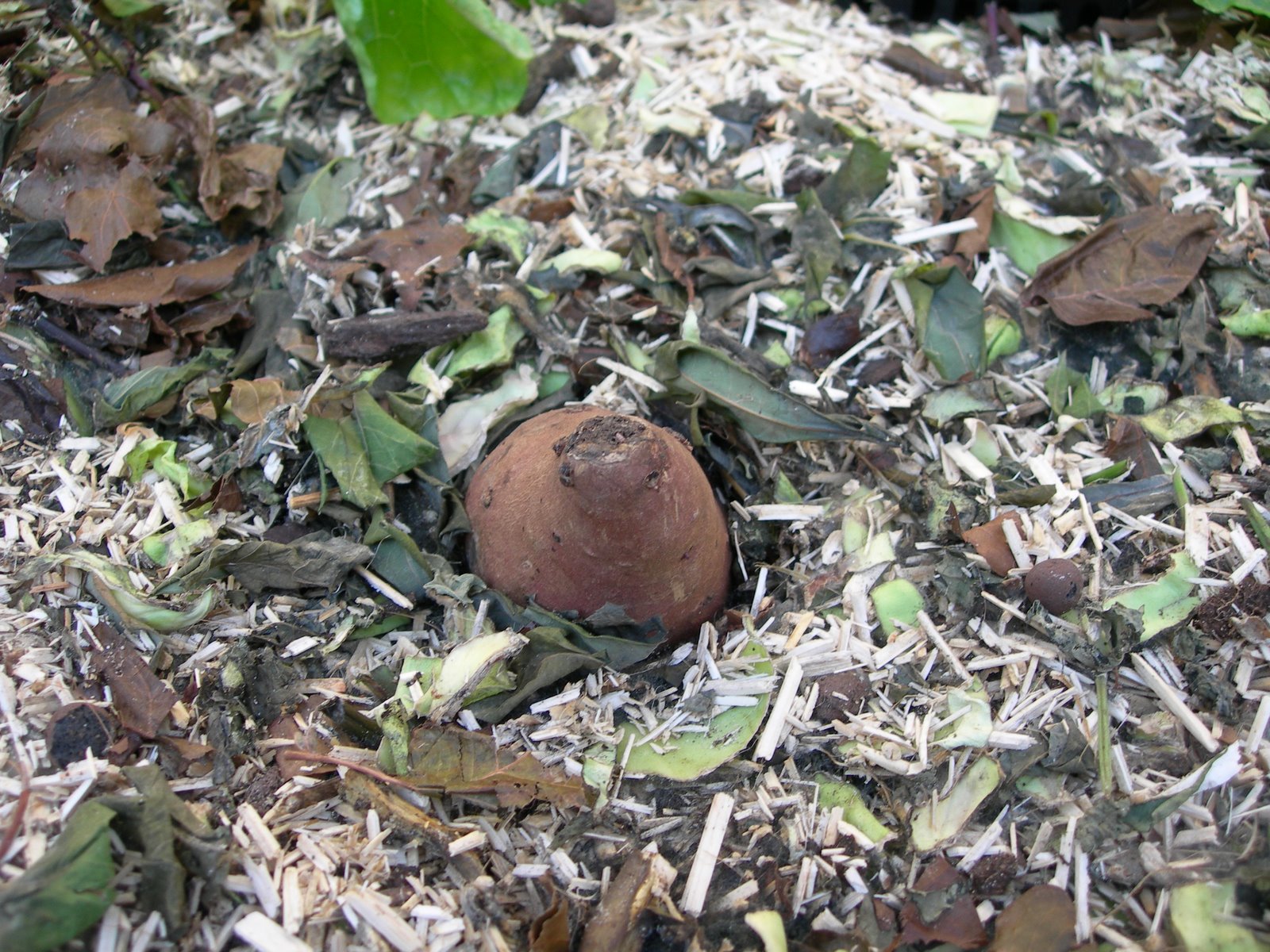 [DSCN9608.JPG]