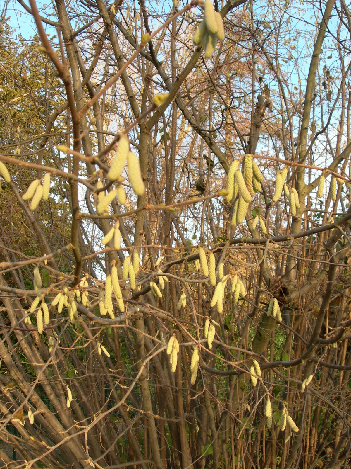 [DSCN0224.JPG]