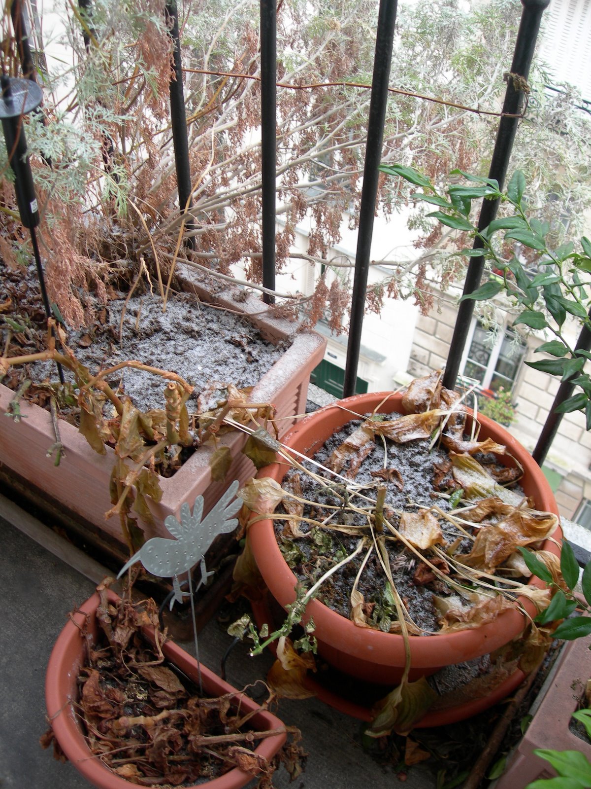 [DSCN0420.JPG]