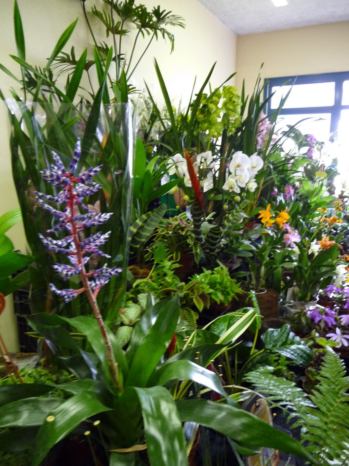 [P1000317.JPG]
