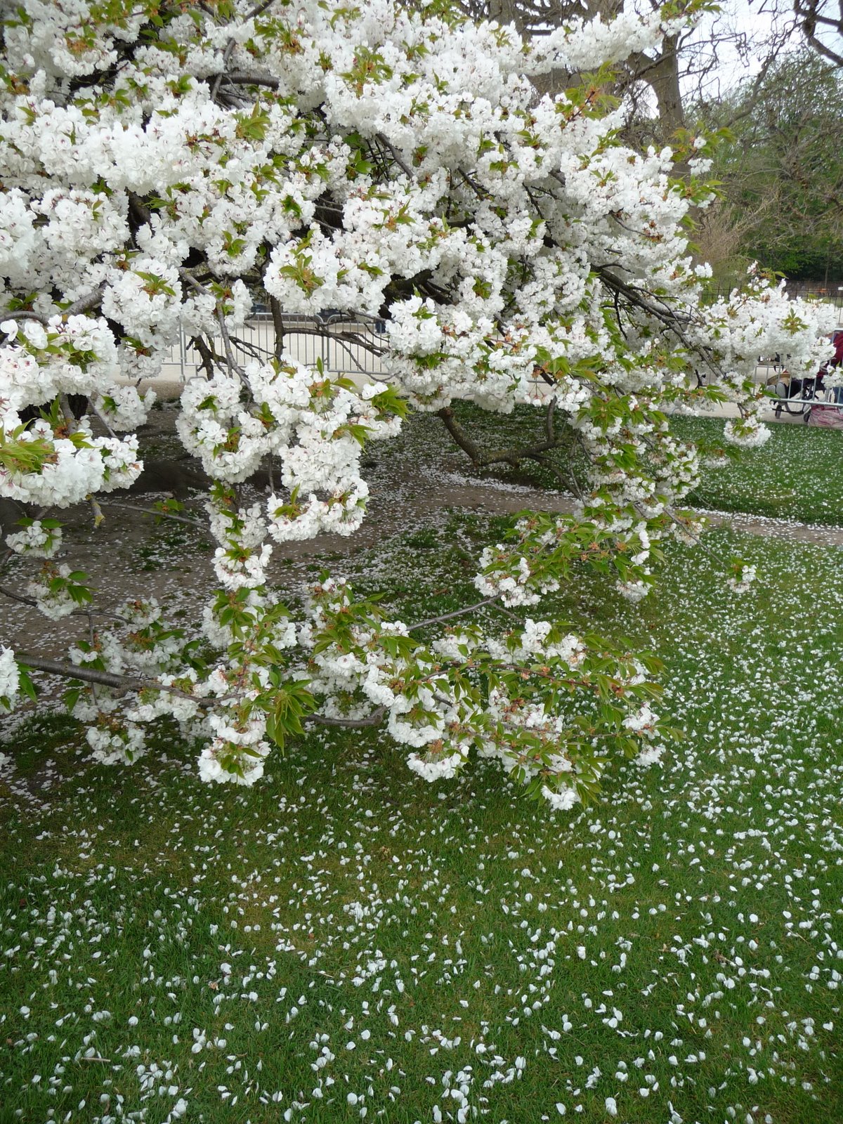 [P1000848.JPG]