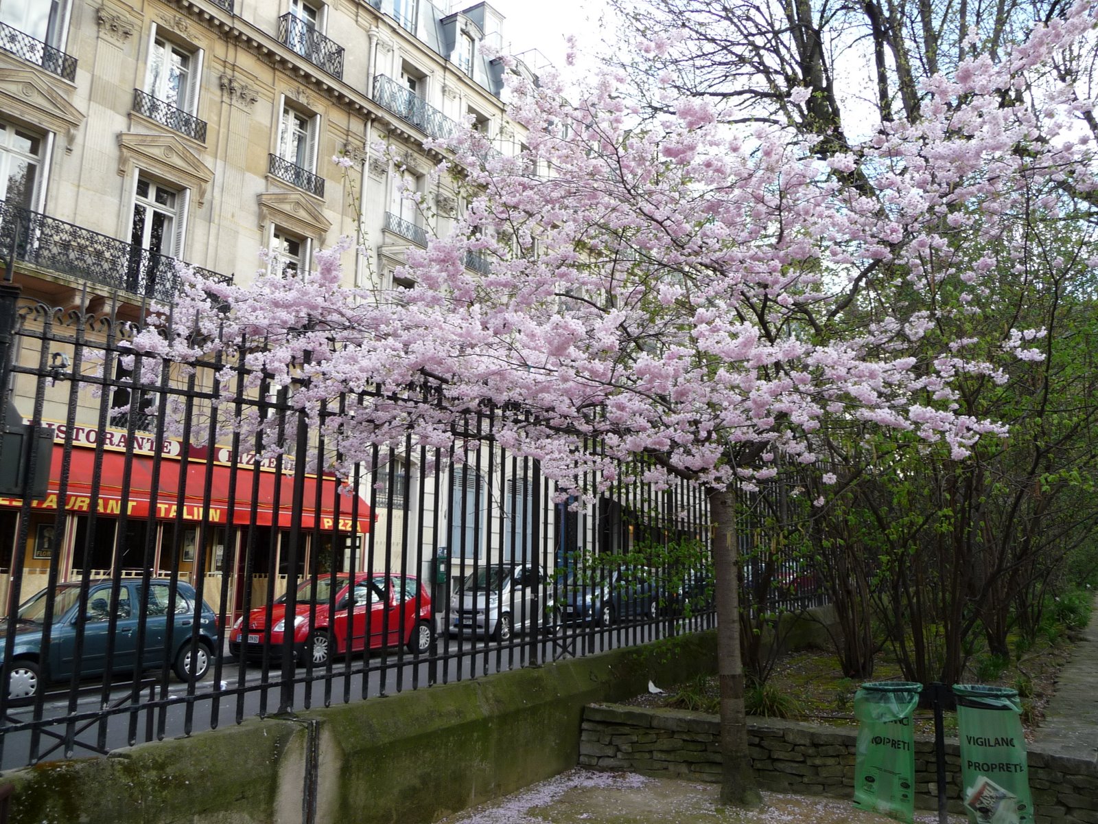 [P1000307.JPG]