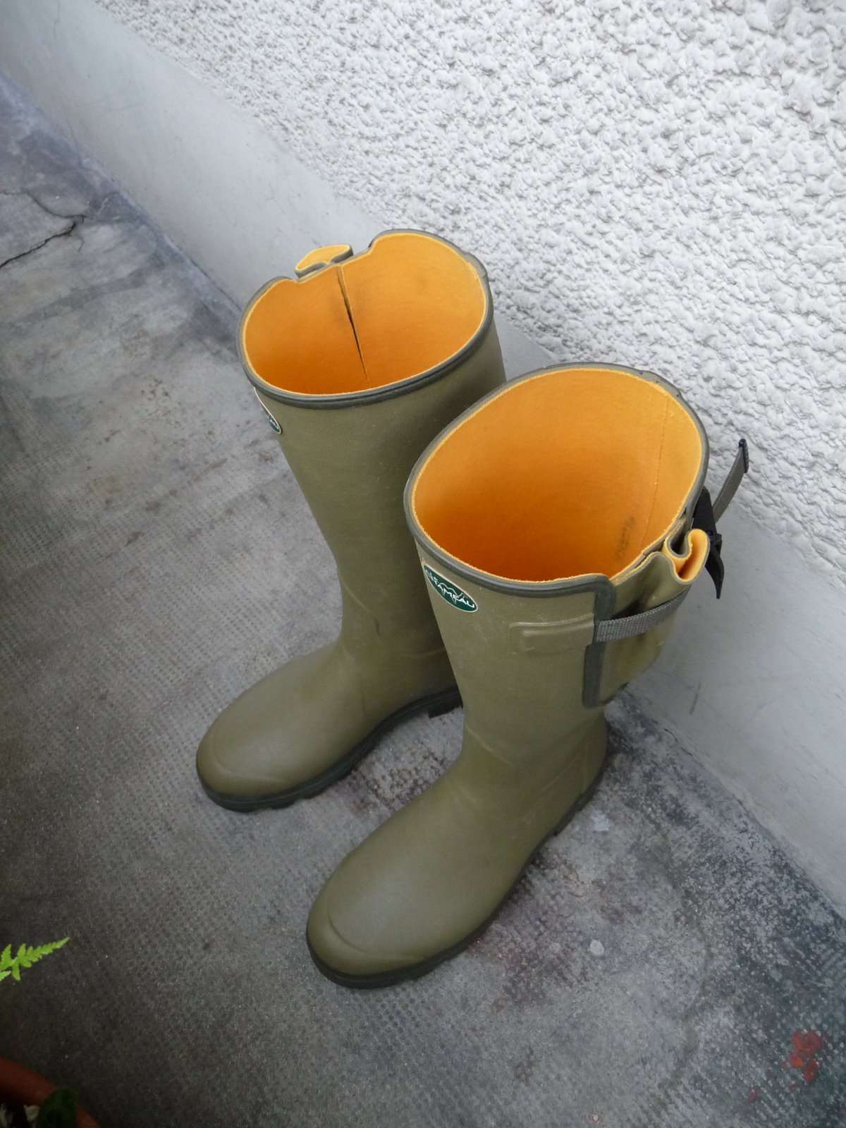 [P1020100.JPG]