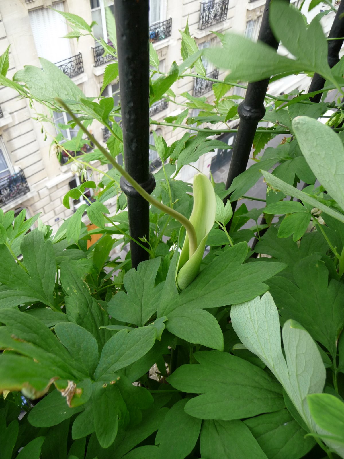 [P1020104.JPG]