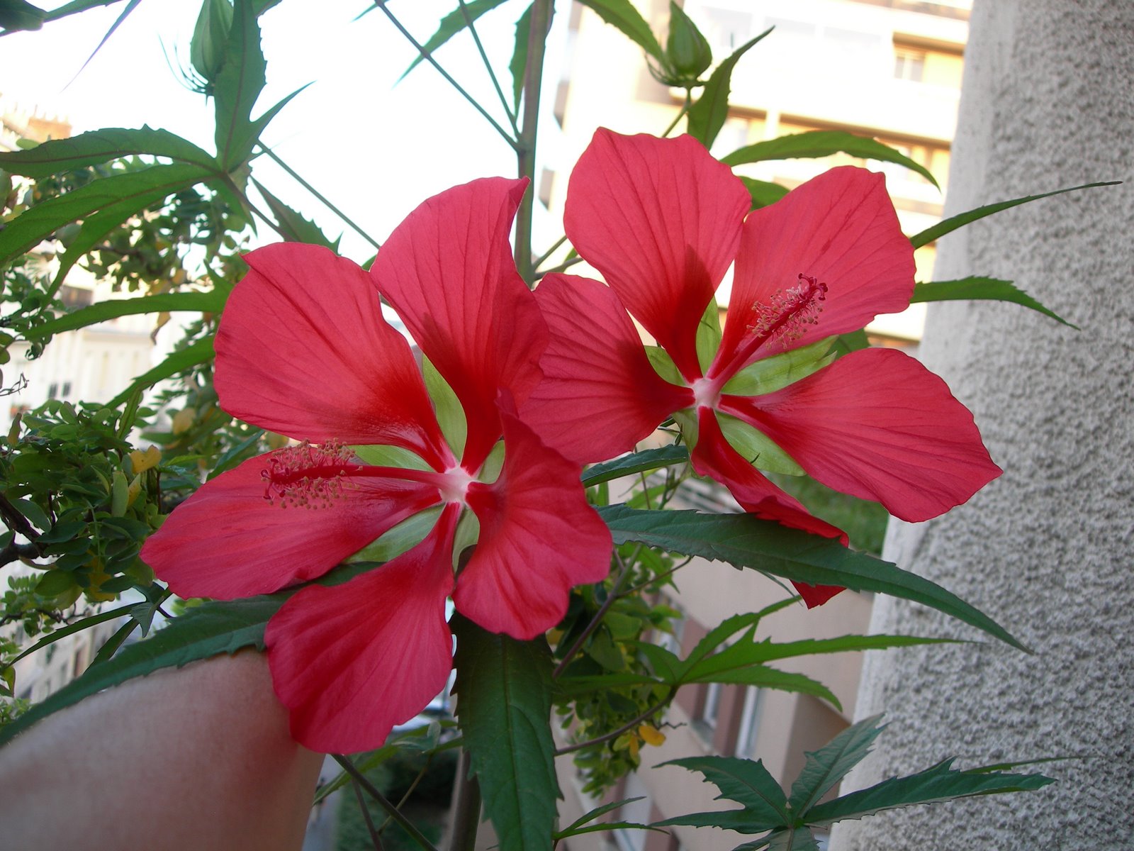 [DSCN8194.JPG]