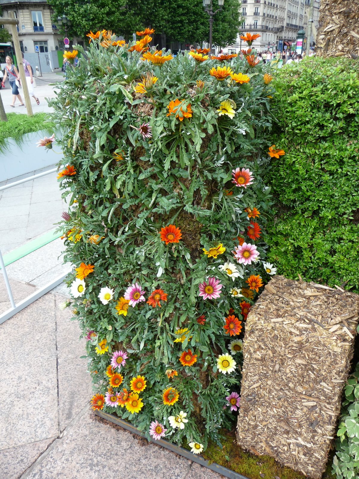 [P1030262.JPG]