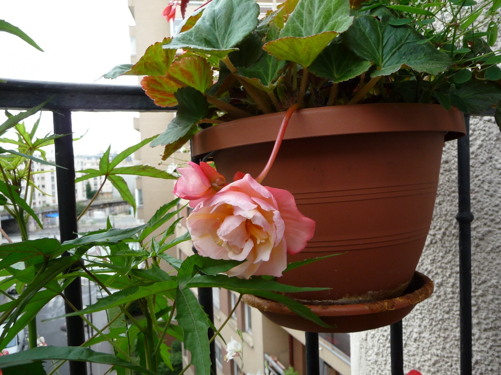 [P1040024.JPG]