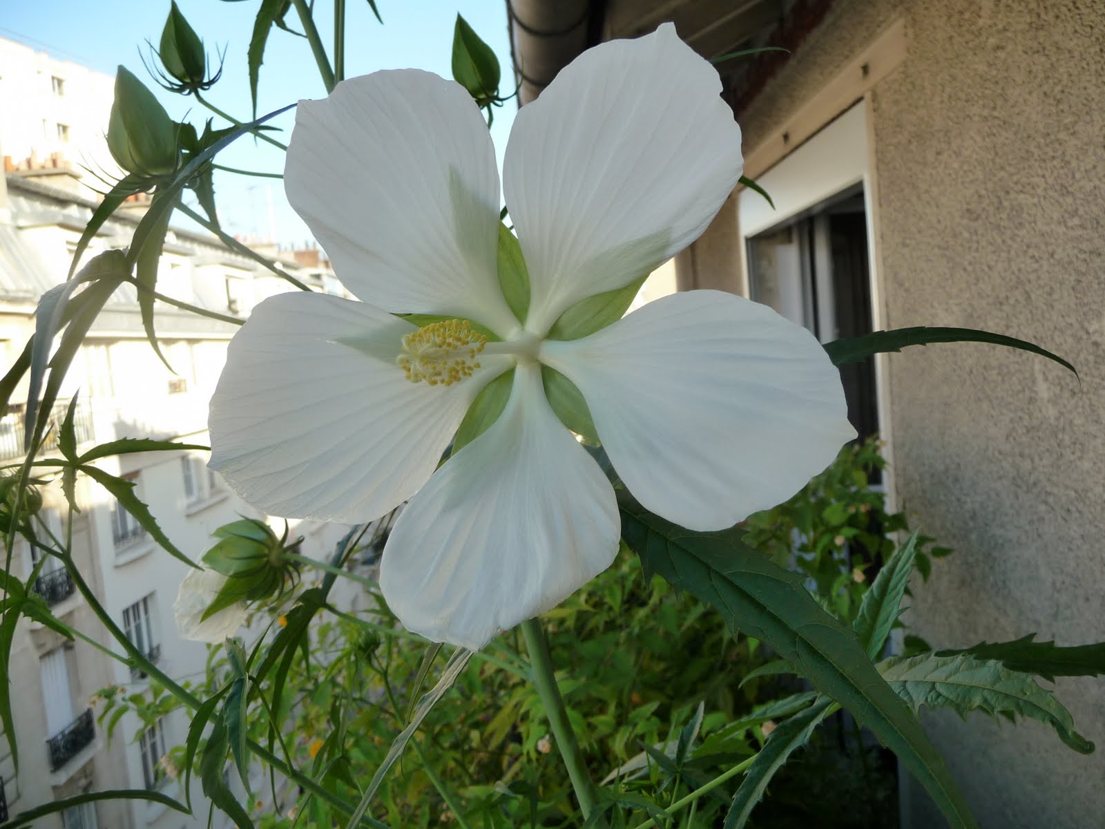 [P1050626.JPG]