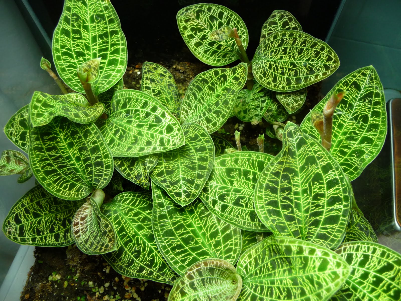 [P1060036.JPG]