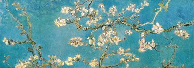 [84102~Almond-Branches-in-Bloom-San-Remy-c-1890-Poster.jpg]