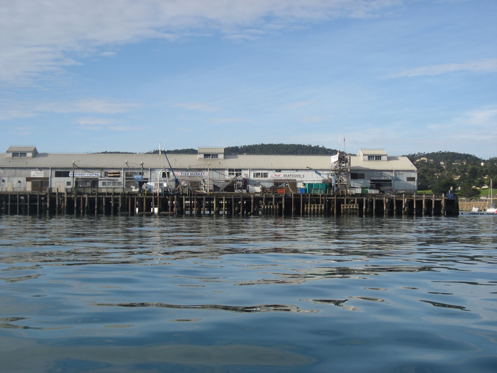 Sailing Britannia Monterey