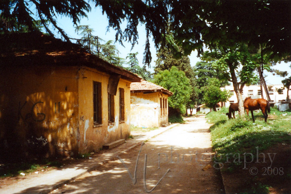 [albania01-web.jpg]