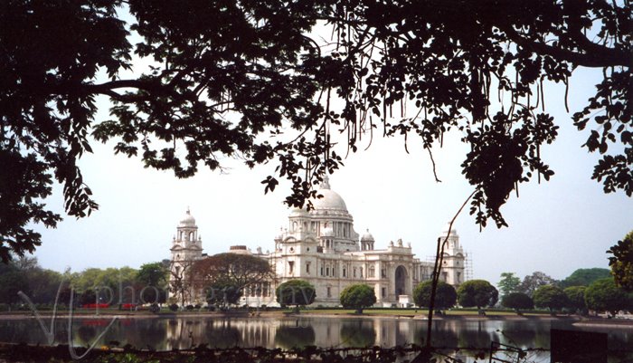 [india03-web.jpg]