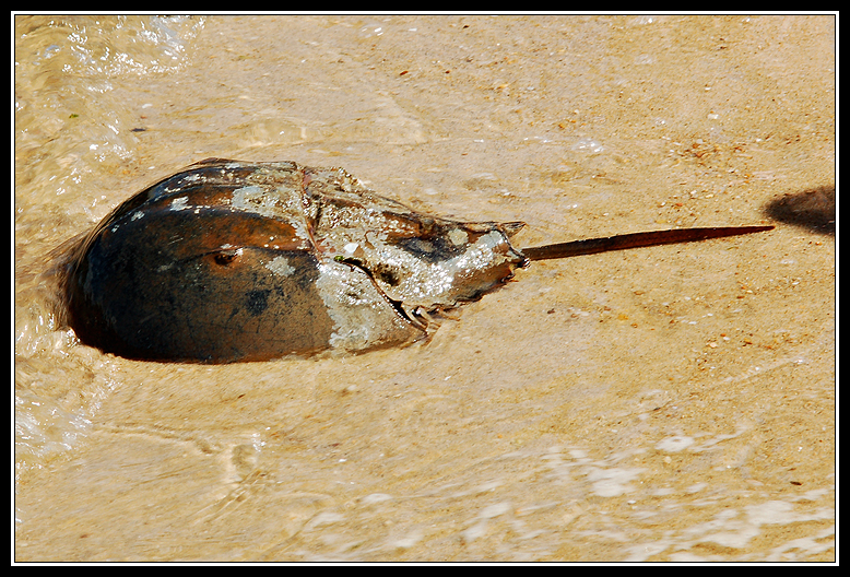 [beach2.jpg]