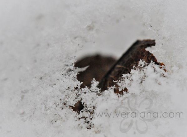 [snow3.jpg]
