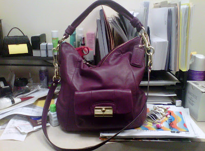 The Stylish Life: Update on The Dilemma: My Fall 2010 Bag