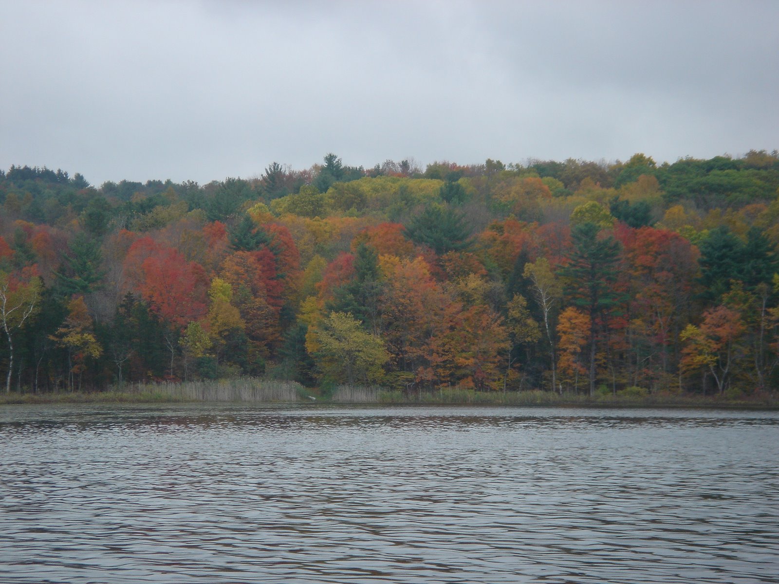 [DSC00965.JPG]