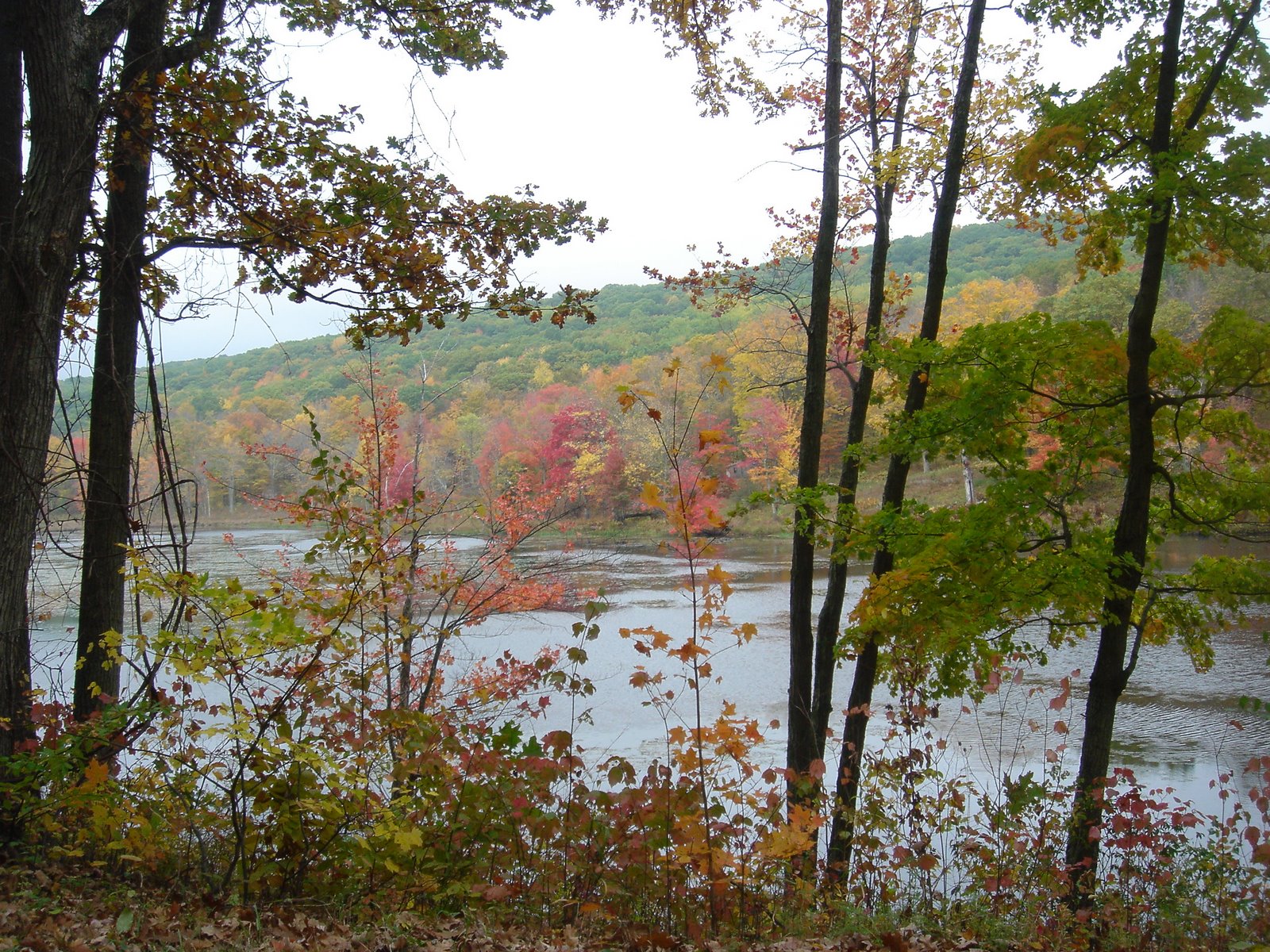 [DSC00946.JPG]