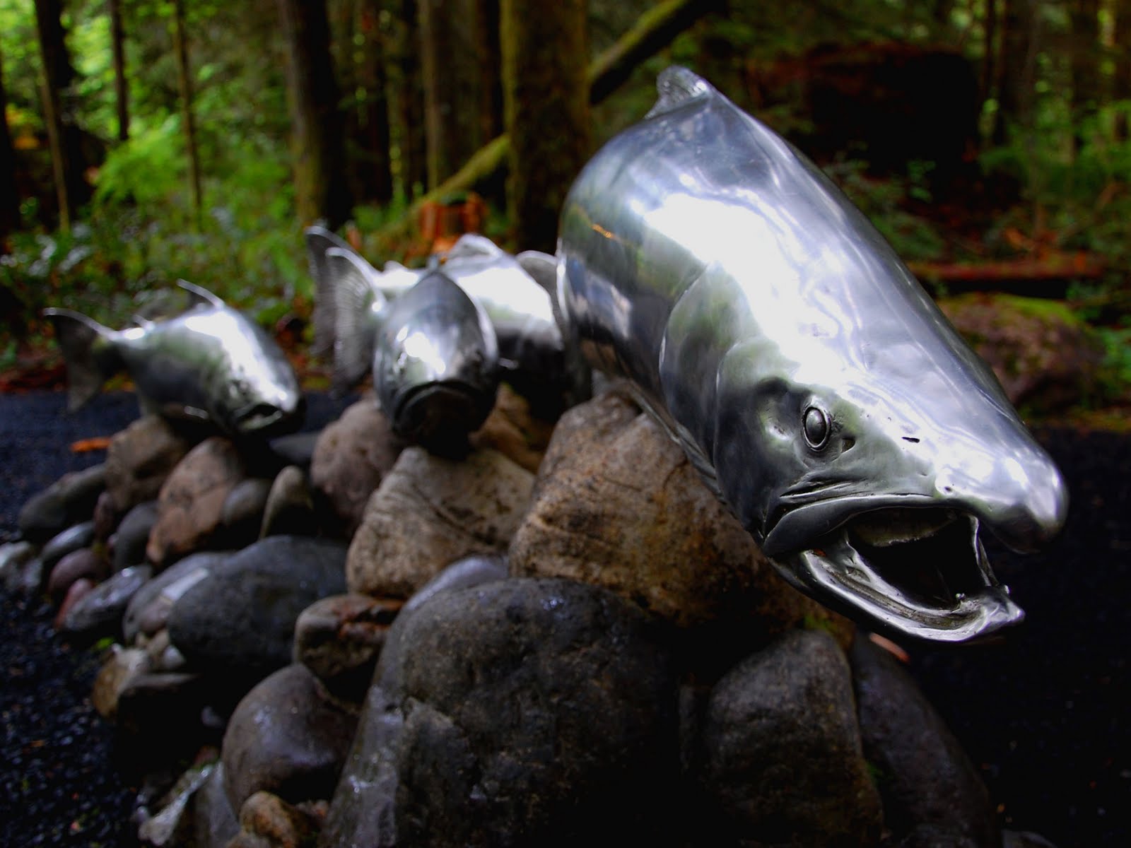 рыба в англии. ихтиология картинки. страна рыбы. страна рыбы и рыбоедов камчатка. музей рыбы и рыбоедов, елизово.