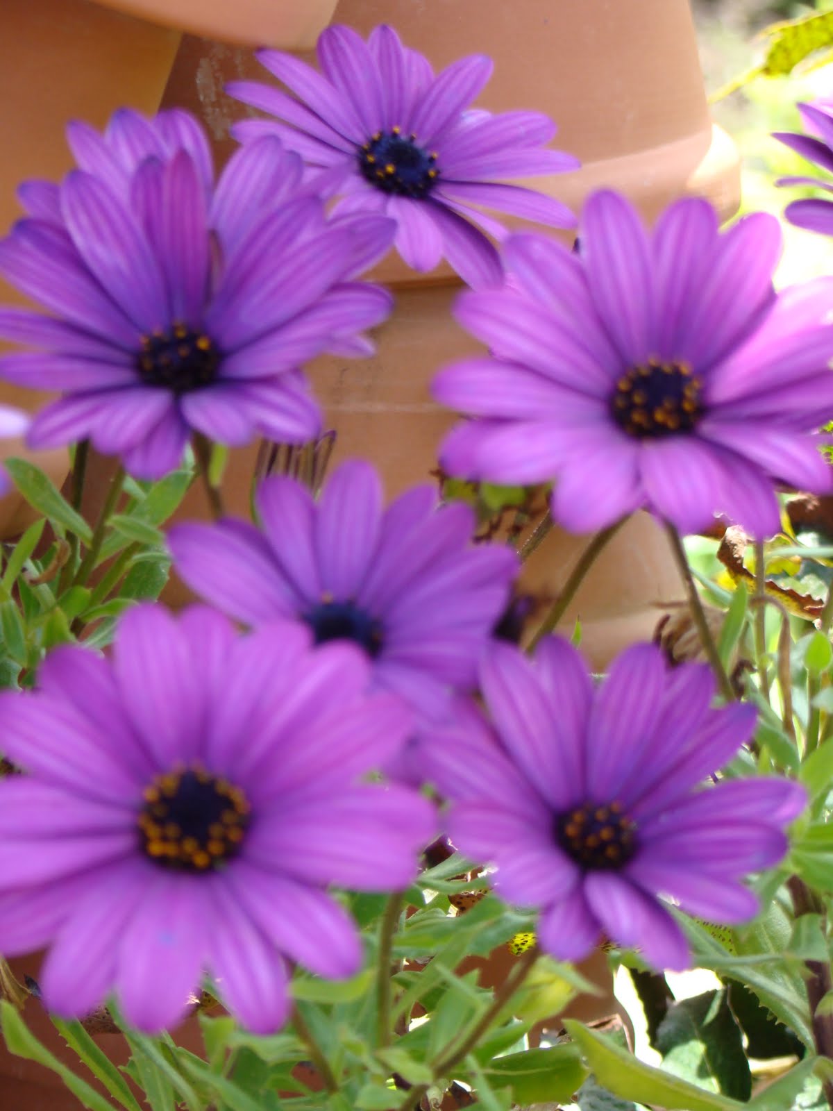 Julie's Craft Cave March 2010