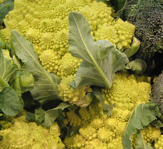 broccolo romano o cavolo broccolo cimoso