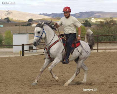 Banu Sanhadja Arabs