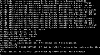 Linux server How mount external hard drive in Ubuntu server