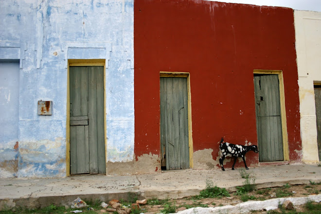 Casa de cabra - Tauá Ceará