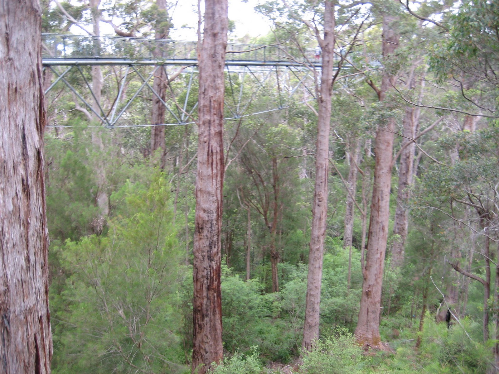 sound and vision Valley of the giants