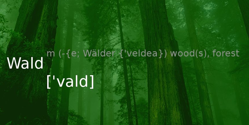 Wald [ˈvald] : Forest, mostly with trees