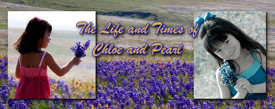 The Life & Times of Chloe & Pearl