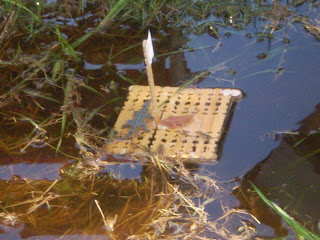 Ian's Science Experiments: Building a mini-raft