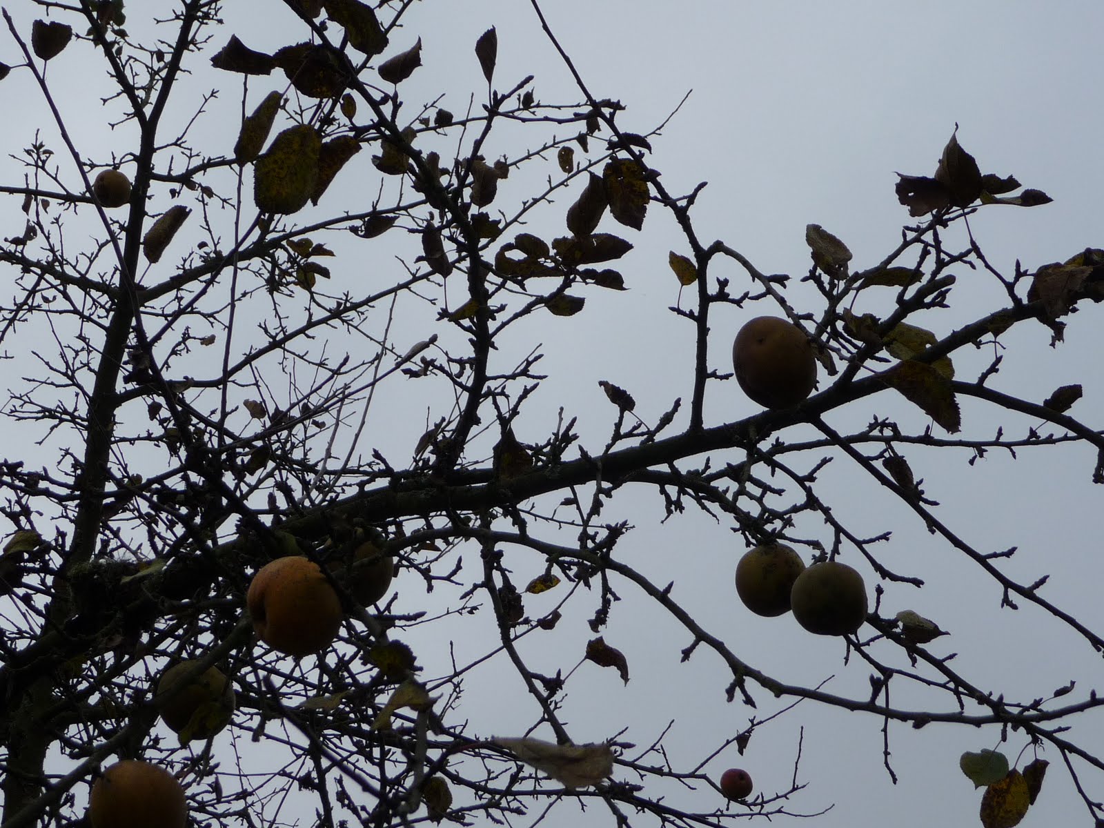 [Gipsy+Oktober+584.JPG]