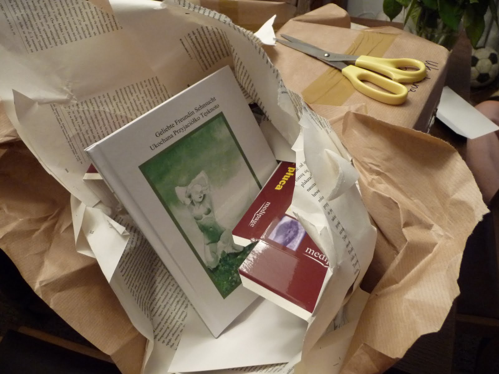 [neues+Buch+594.JPG]