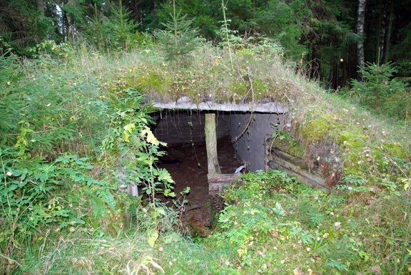 [Rudninku+Forest+23.9.08+(12).JPG]