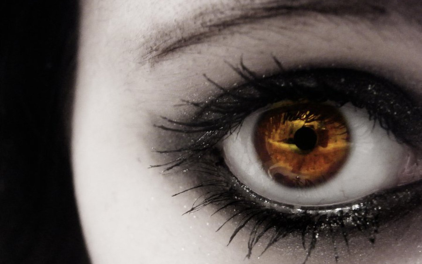 Astonishing Compilation of Full 4K Images of Girls' Eyes - Over 999  Exquisite Pictures