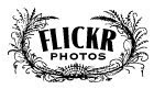 My Flickr