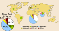 Global Distribution of HIV-1 Subtype