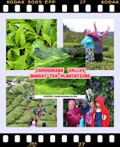 CAMERONIAN VALLEY CAMERON HIGHLANDS