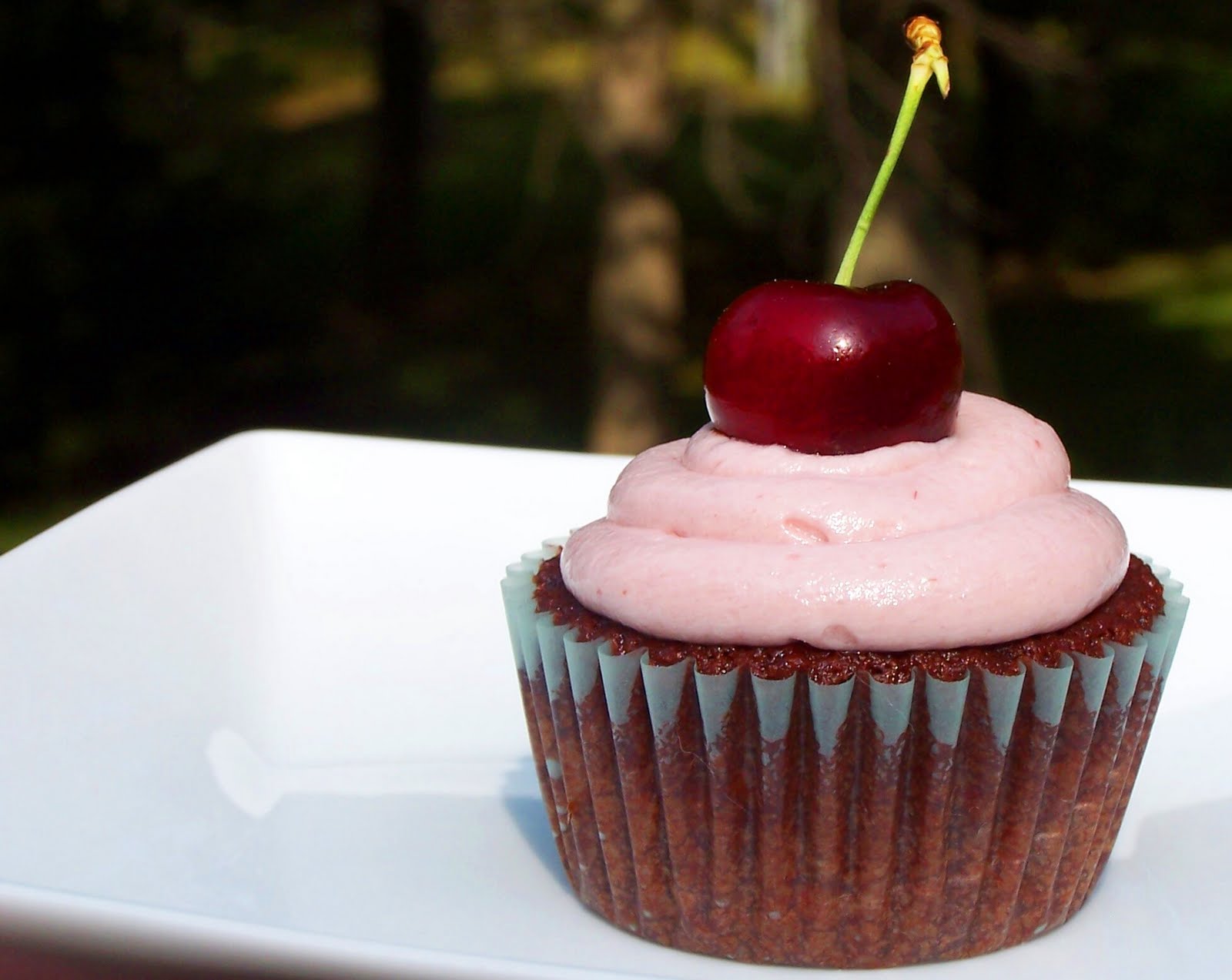 мини маффины. красивые кексы. пирожные с кремом. кекс со свечой на день рождения. два кекса.