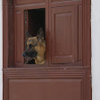 Mi foto