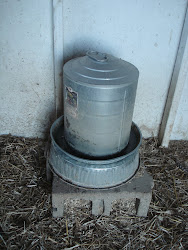 coop water chicken winter heater base well november installed lights any don freezing put