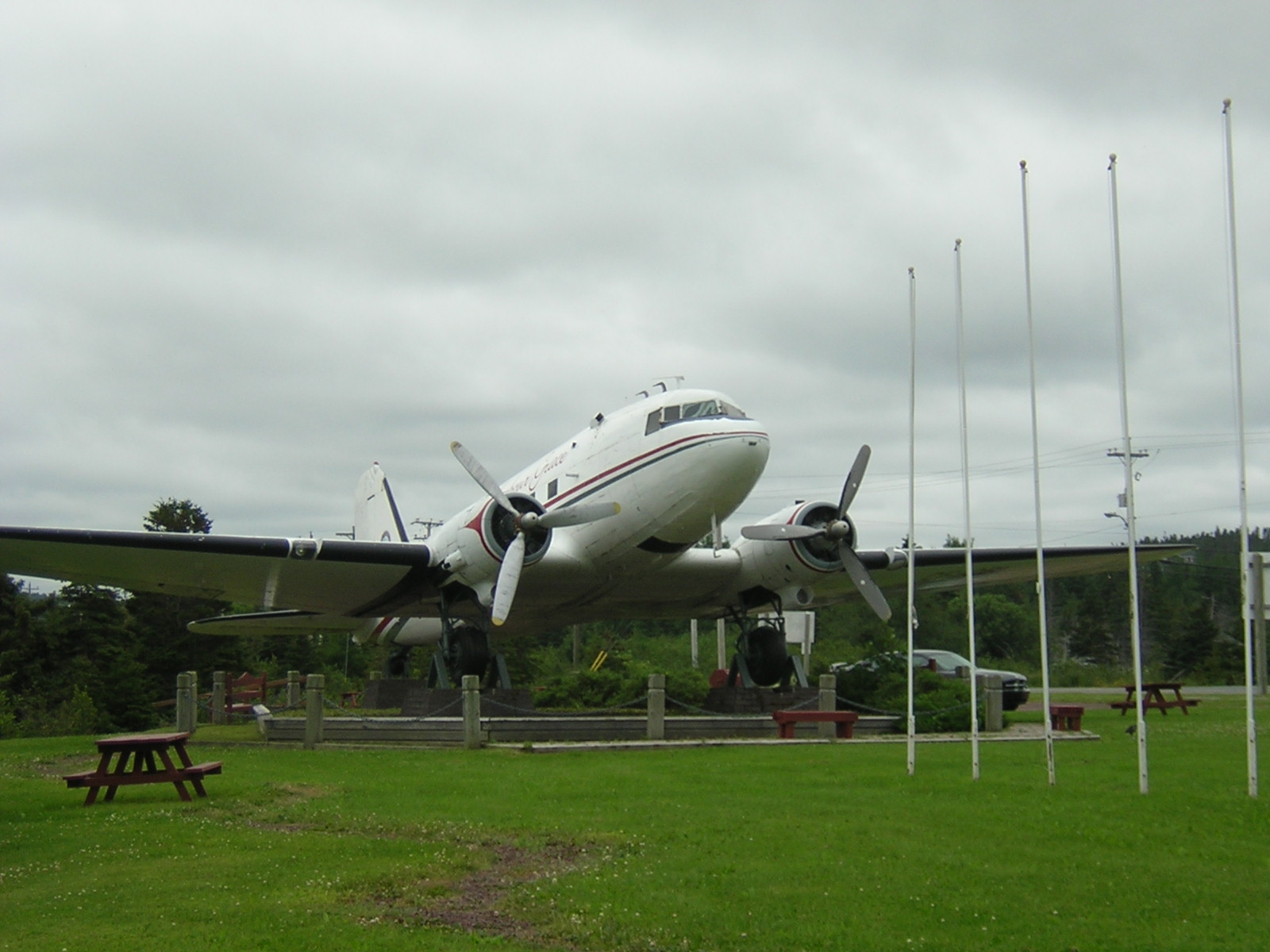 Rook's Nest Harbour Grace